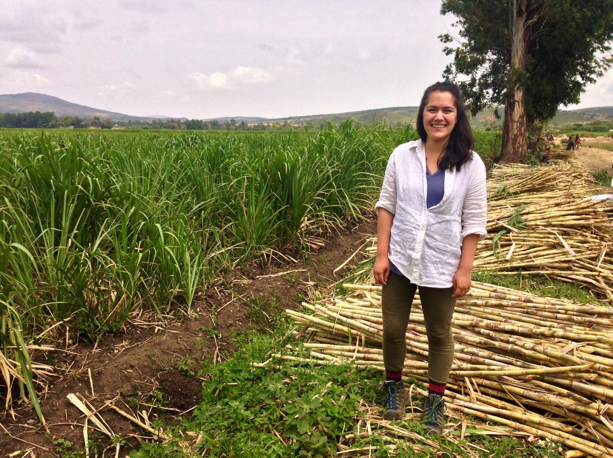 Katie Chambers standing in a field with cut bamboo.