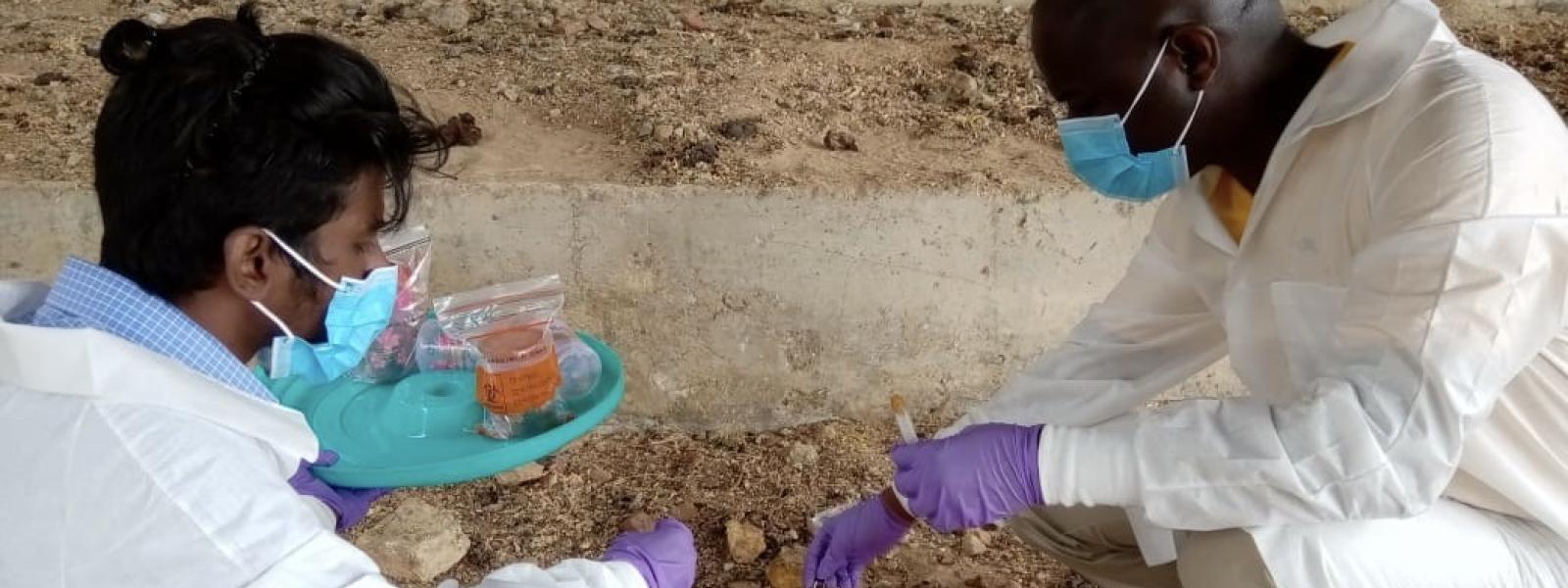 Two men in white coats, masks, and gloves taking a sample from the ground