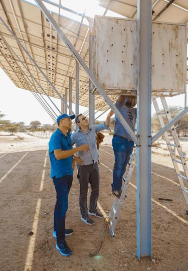 Two men looking up at solar panels