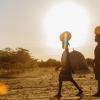 two women carrying jerry cans on their head in the evening sun