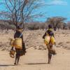 Water collection in Turkana, Kenya. (Credit: CU Boulder)