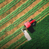 red tractor harvesting alfalfa in field
