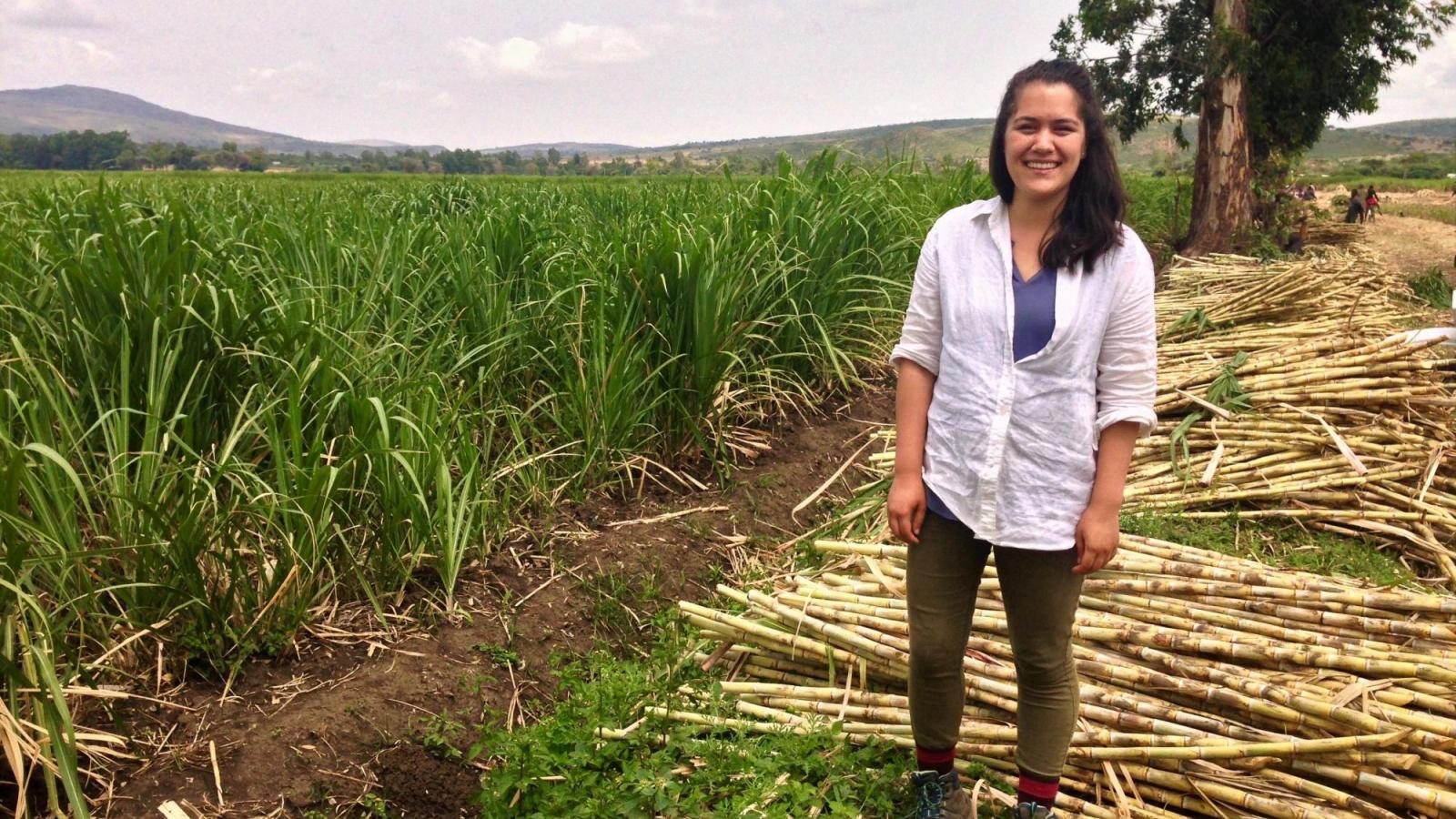 Katie Chambers standing in a field with cut bamboo. 