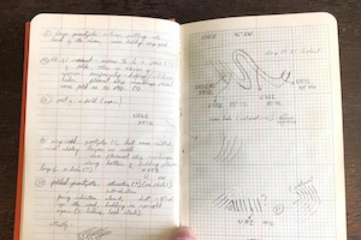 Field Notes Image