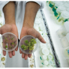 hands showing cannabis flower samples in cups with samples in background