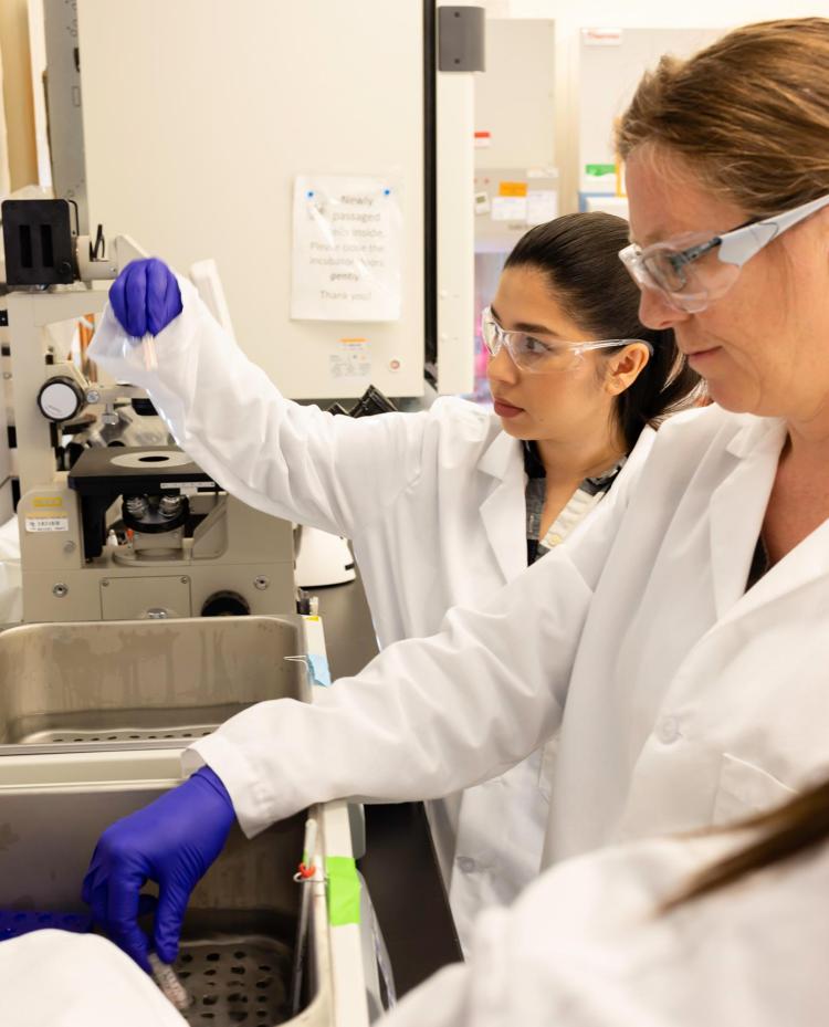 stem-cells-human-iPSC-training-researchers