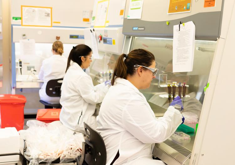 stem-cells-training-researchers-human-iPSCs