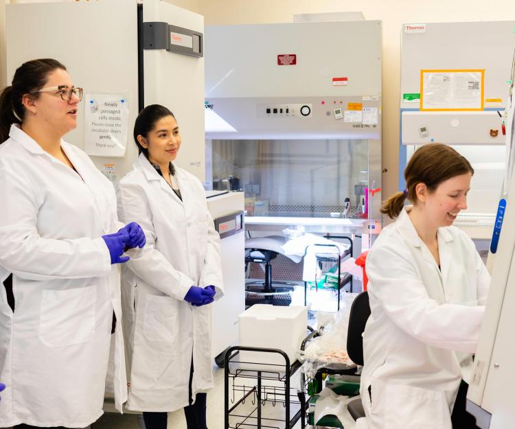 iPSCs-stem-cells-researchers-training