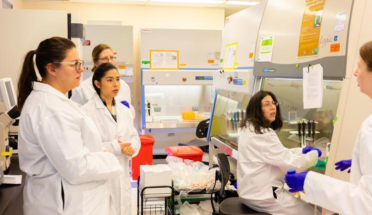 stem-cells-iPSCs-human-training-researchers-BSCs