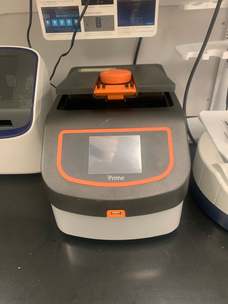 pcr