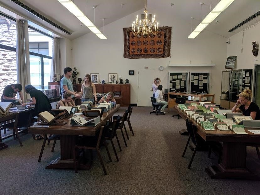 Students pore over special collections materials