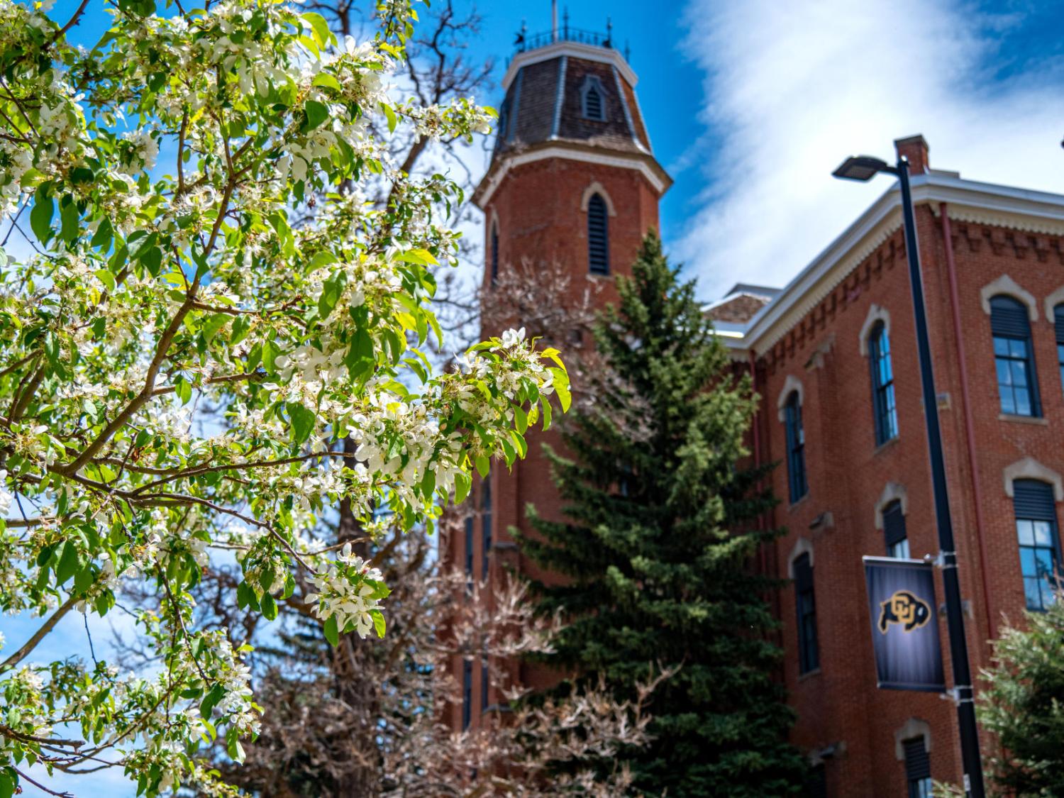 CU Boulder campus in Spring