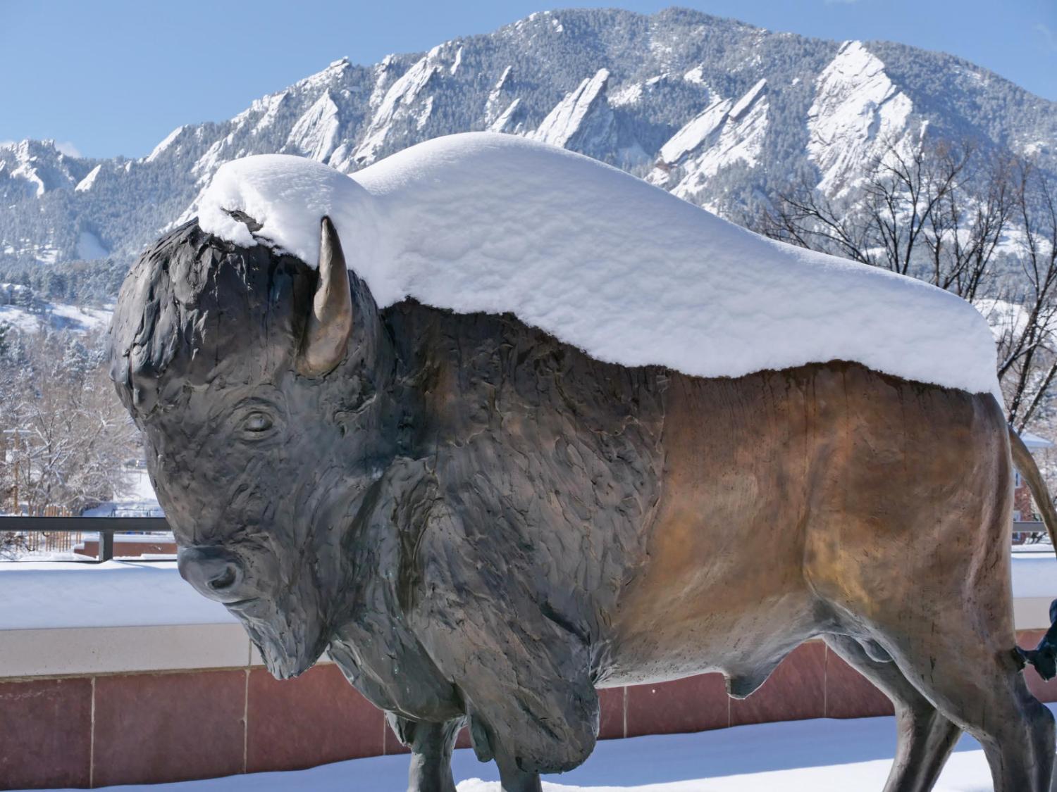 CU Boulder Buffalo Statue covered in snow