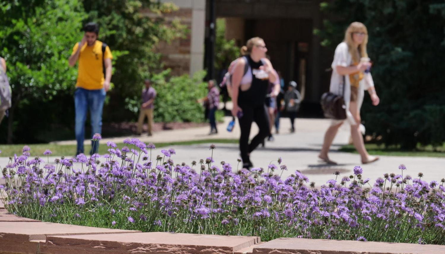 Students walk outside on campus with flowers blooming