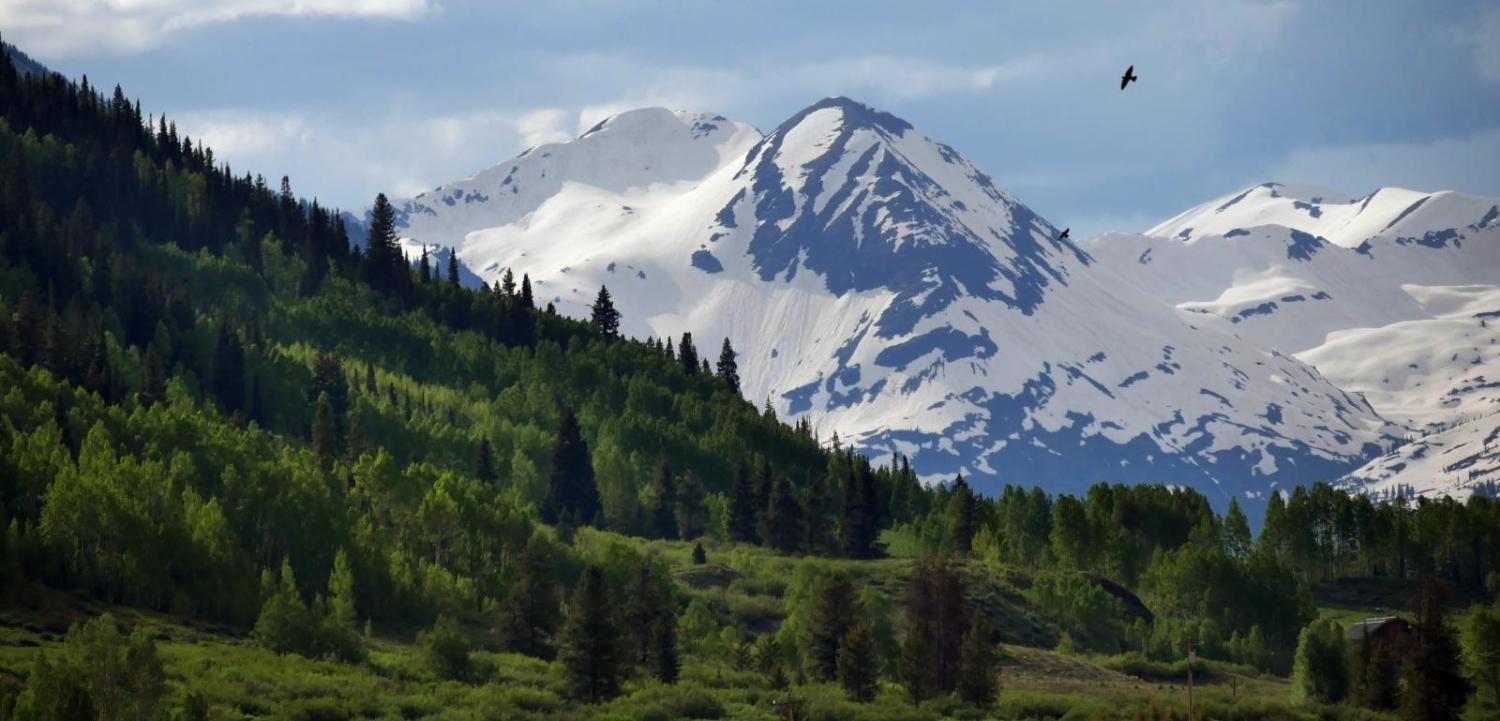 snow capped Boulder flat irons in the background of a green field