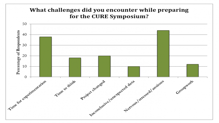 Challenges encountered by students chart