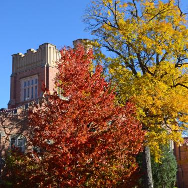 Fall Intensive