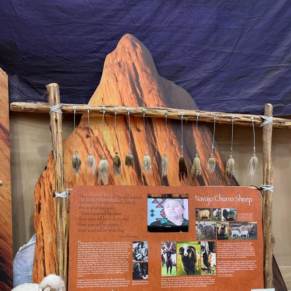 Interpretive display explaining the importance of Navajo Churro Sheep at the Explore Navajo Interactive Museum in Tuba City.