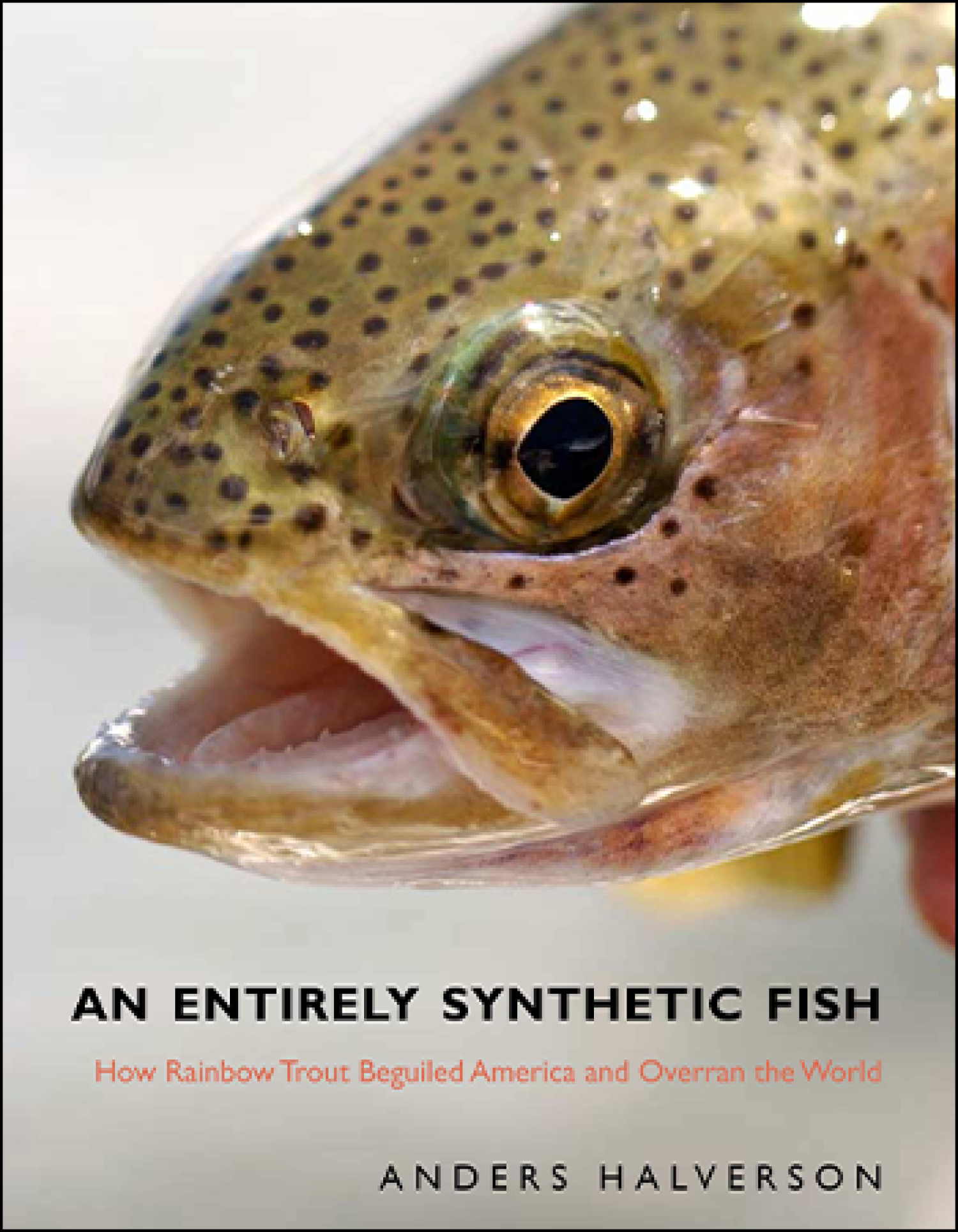 An Entirely Synthetic Fish: How Rainbow Trout Beguiled America and Overran the World