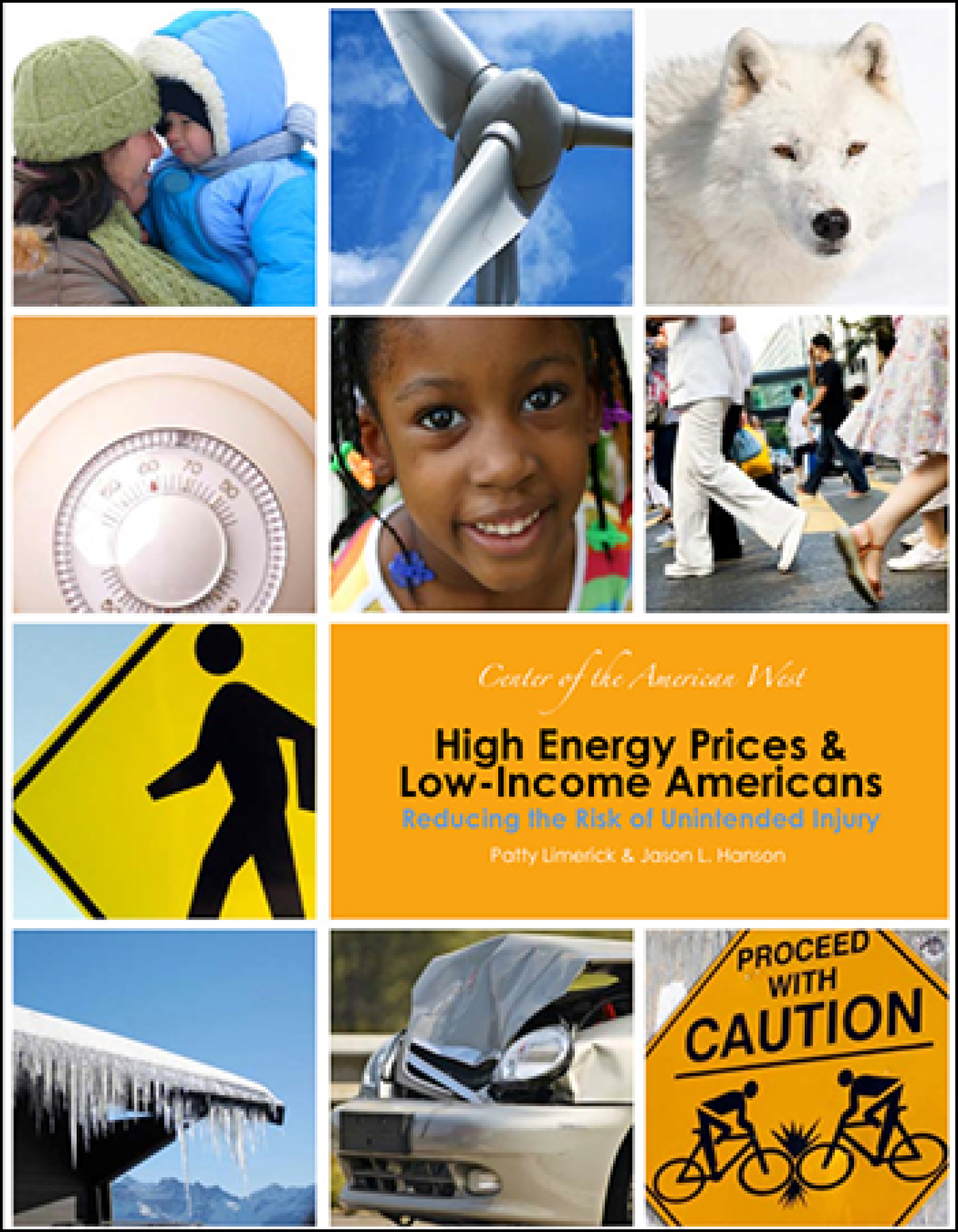 High Energy Prices & Low-Income Americans: Reducing the Risk of Unintended Injury
