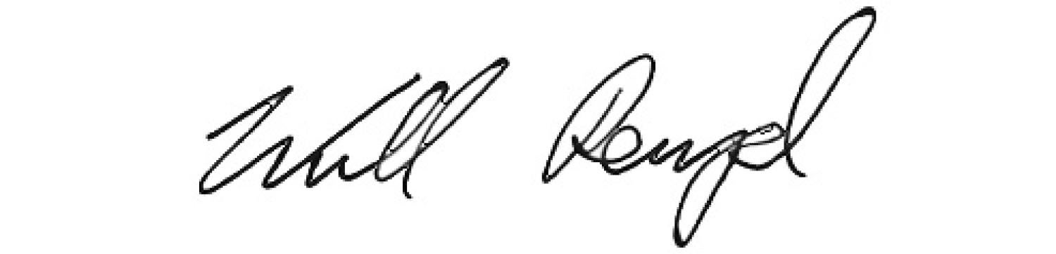 Will Rempel Signature