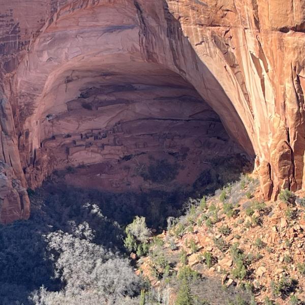 Betatakin cliff dwelling in Navajo National Monument.