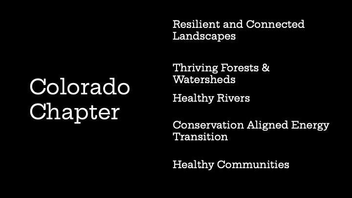 McCarthy Spring 2025 Slide Deck Page 4