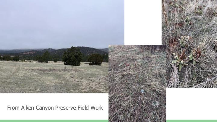 Moyer Spring 2025 Slide Deck Page 3