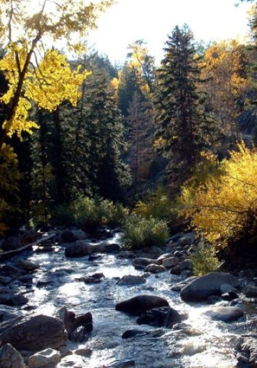 Fish Creek
