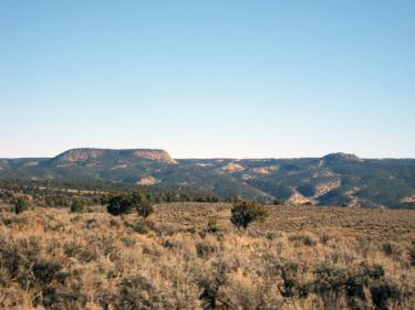 Chevron Lease Site Landscape