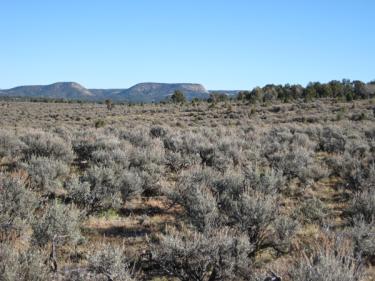 Shale County Fragile Ecosystem