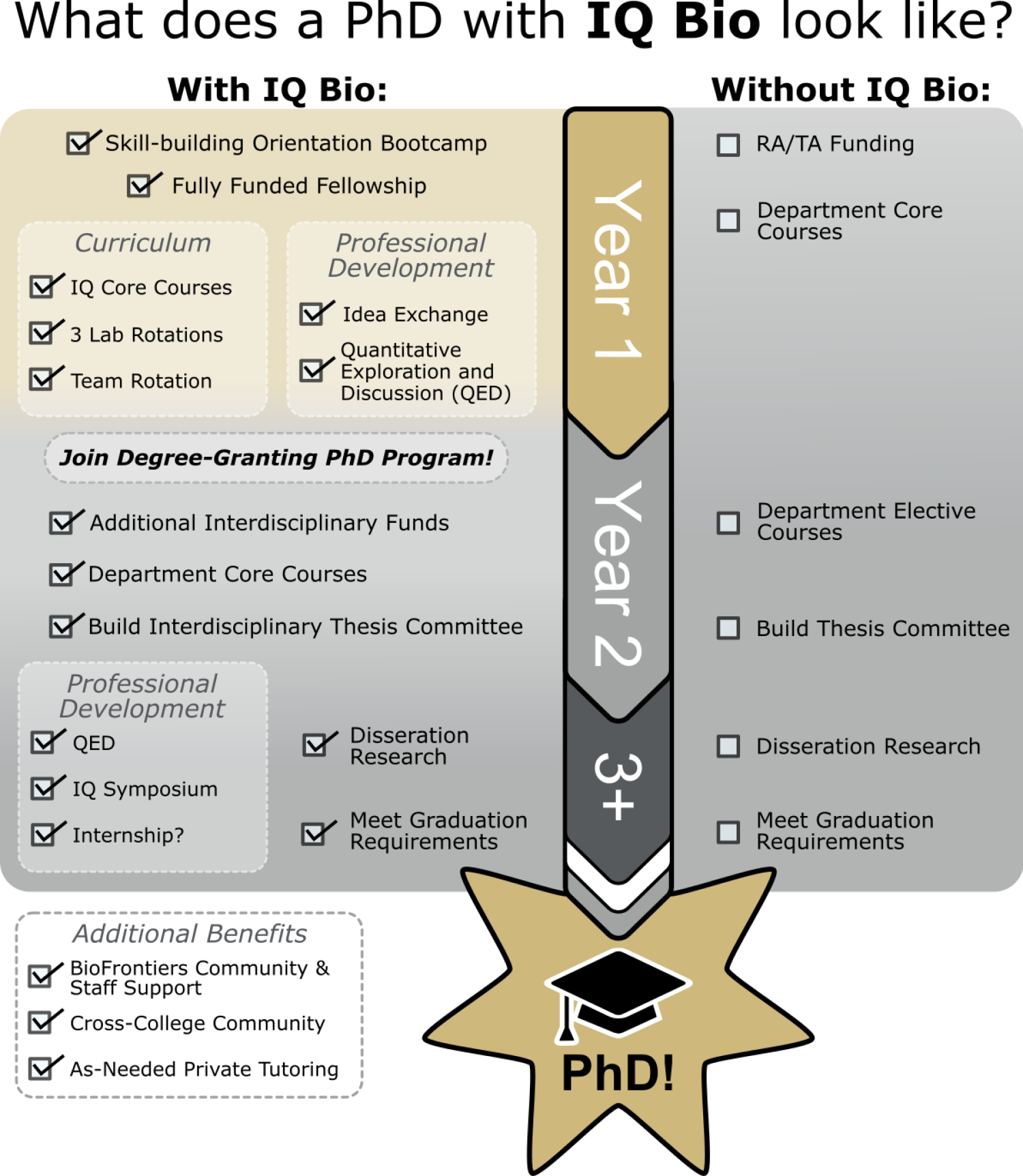 IQ Infographic