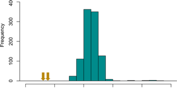 Examples of contig depth distributions from (A) Usnea cornuta and (B) Heterodermia leucomelos used to estimate single‐copy depth of the mycobiont nuclear genome that show the cystobasidiomycete contigs (yellow arrows) fall near, or within, one order of magnitude of the distribution of the 1000 largest contigs in the metagenome (blue bars).