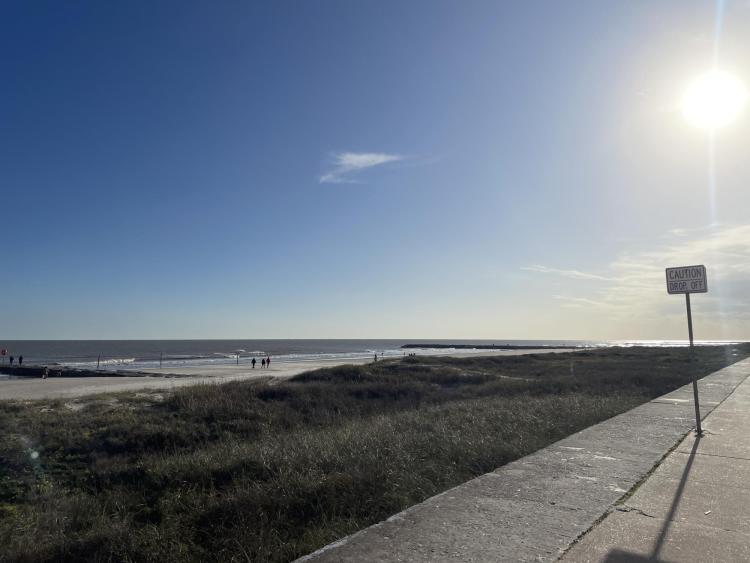 Galveston coastline