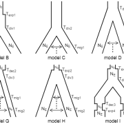 Examined demographic scenarios. Abbreviations are shown for each model parameter; abbreviations are reused for parameters that share a prior distribution