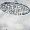 Boulder researchers found that mycobacteria is the most common bacteria in showerheads - but say showering is still safe.