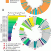 Phylogenetic tree representing described and previously undescribed mycobacterial hsp65 sequences.