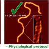 A picture from research performed by Patrick Heenan