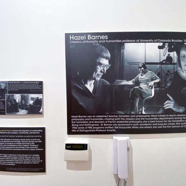 Posters with story of the flat's donors