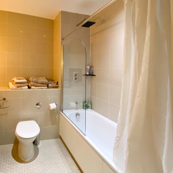 Bathtub and toilet