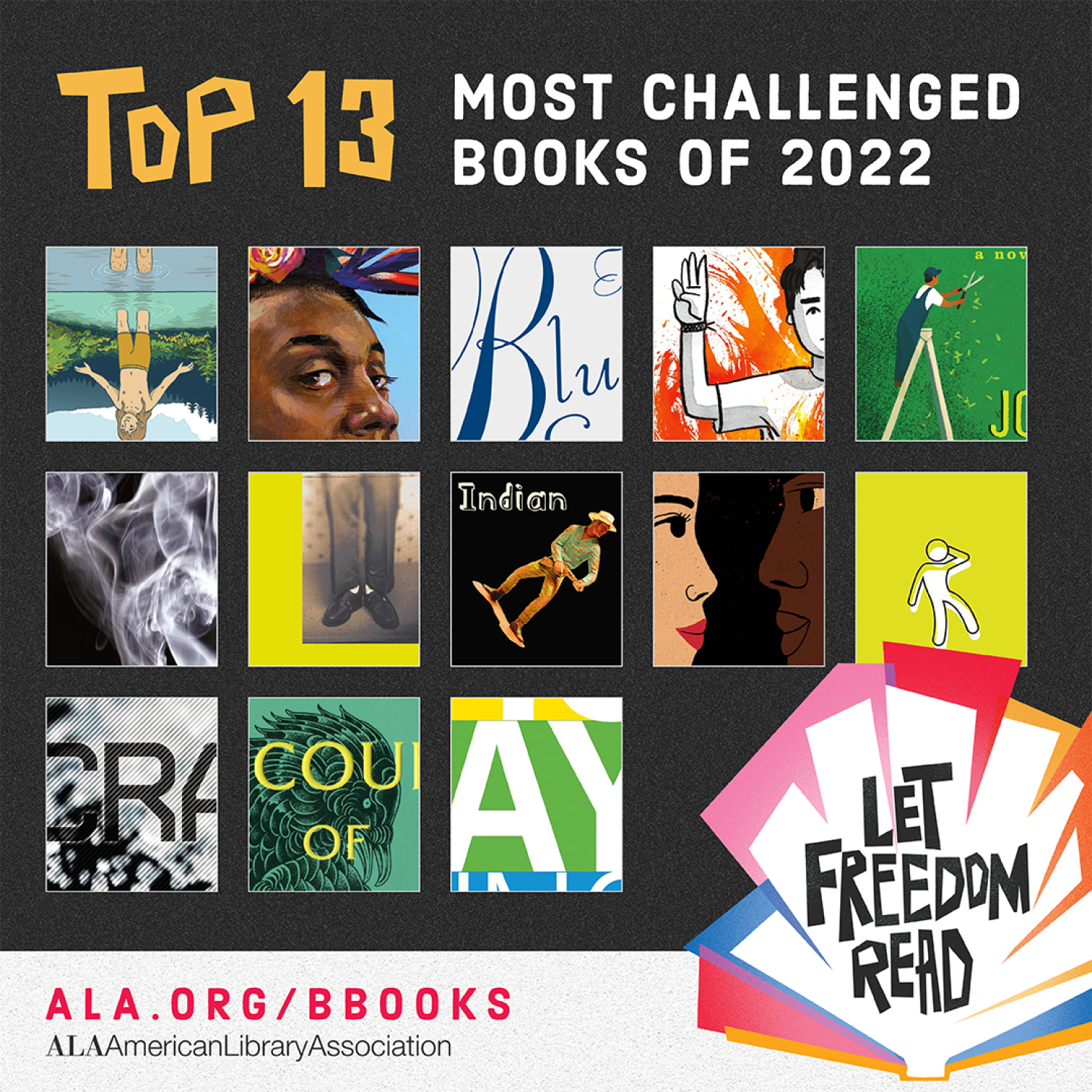 Top 13 Most Challenged Books of 2022