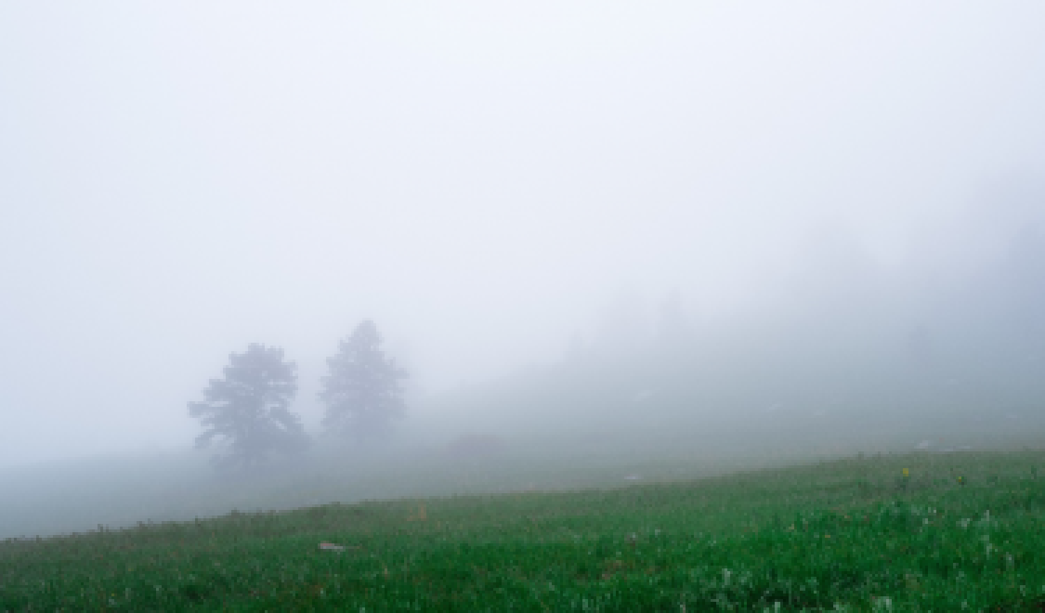 landscape foggy