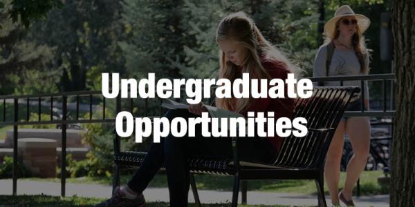 Undergraduate Student Opportunities