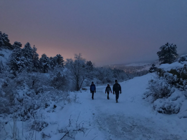 walk in the snow, evening