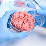 Meat in a petri dish held by a gloved hand in a lab