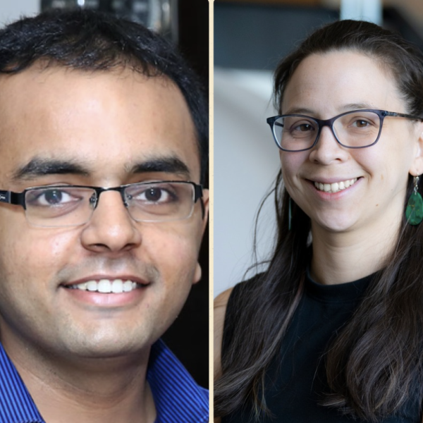 Dyptych of Ankur Gupta and Kōnane Bay