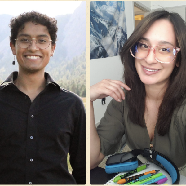 Ashish Srivastava and Katayoun Jamei