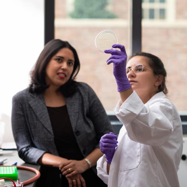 Anushree Chatterjee and graduate student in the lab looking at a petri dish