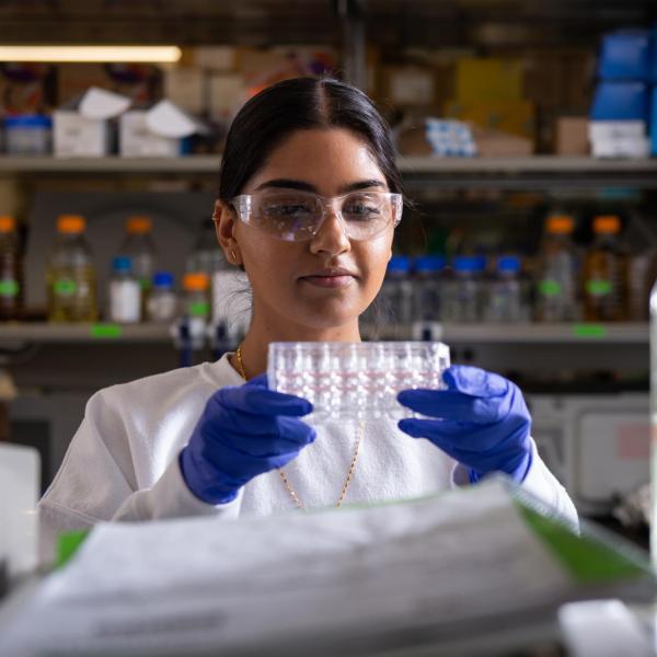 A researcher in Laurel Hinds lab holds some tubes.