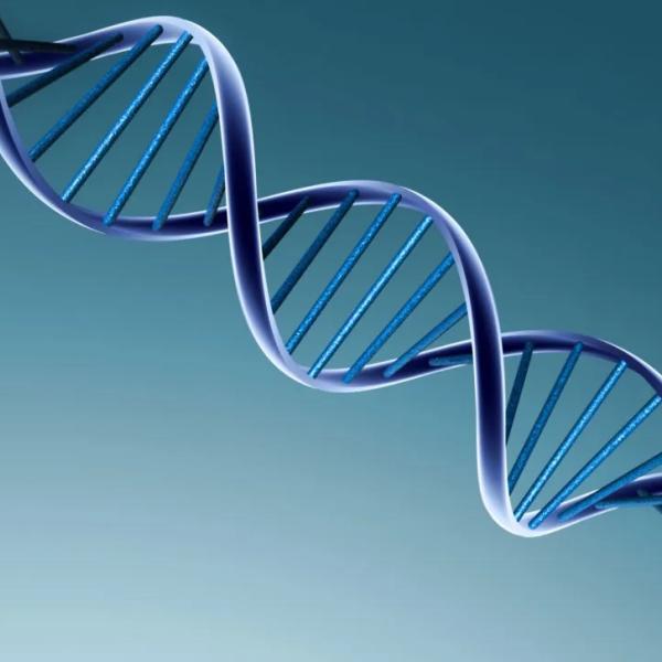 DNA chain